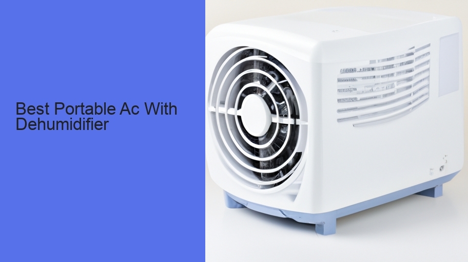 Best Portable Ac With Dehumidifier